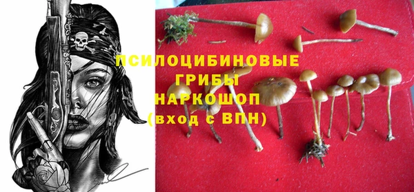 прущая мука Верхний Тагил