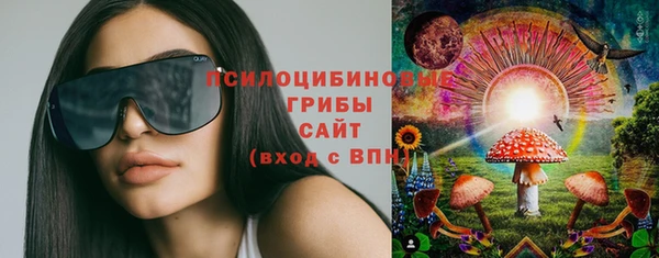 Альфа ПВП Володарск
