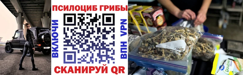 наркошоп  Ухта  МЕГА ссылка  Галлюциногенные грибы Psilocybe 